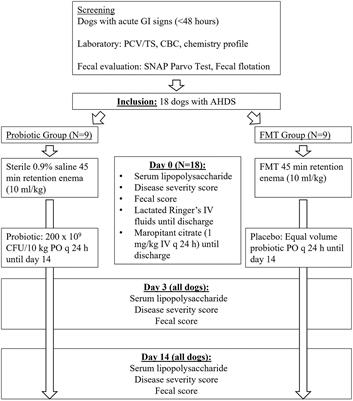 Clinical response in dogs with acute hemorrhagic diarrhea syndrome following randomized probiotic treatment or fecal microbiota transplant